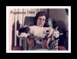 fugianna cat
